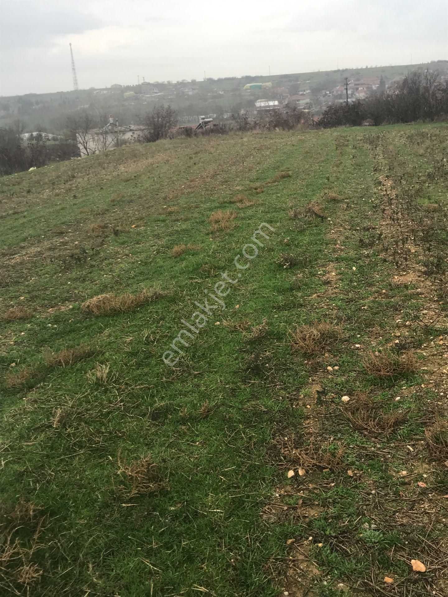 Kırklareli Merkez Bayramdere Köyü Satılık Konut İmarlı Kırklareli Bayramdere Köyü Arsa İmarlı