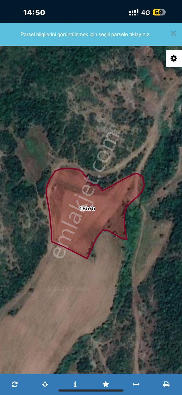 Acil! Satılık Karainbeylide 6.200metre Kaçmaz Fırsat 1.750.000tl - Görsel 4