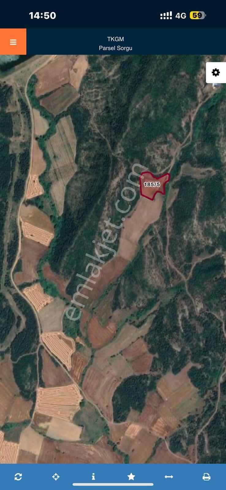 Acil! Satılık Karainbeylide 6.200metre Kaçmaz Fırsat 1.750.000tl - Görsel 3