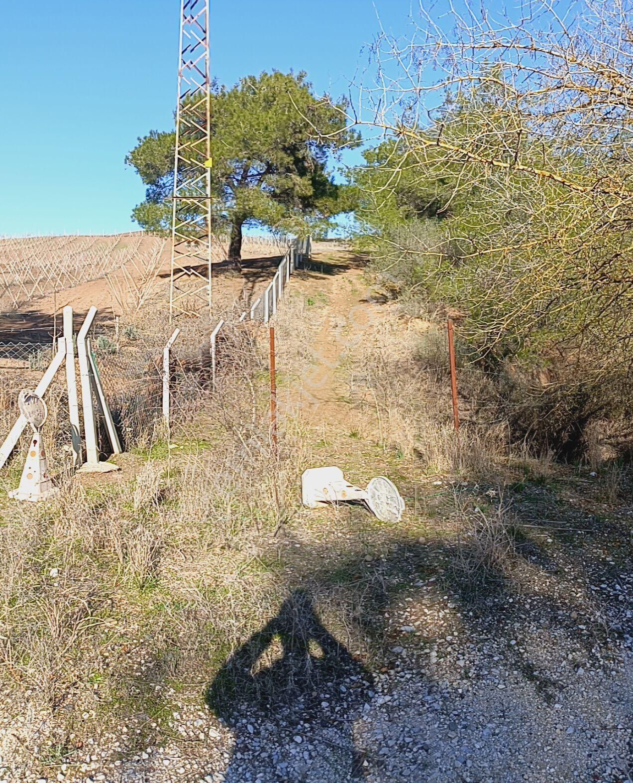 Karaisalı Topaktaş Satılık Tarla Topaktasda Satilik Tek Tapu 4 Donum Tarla