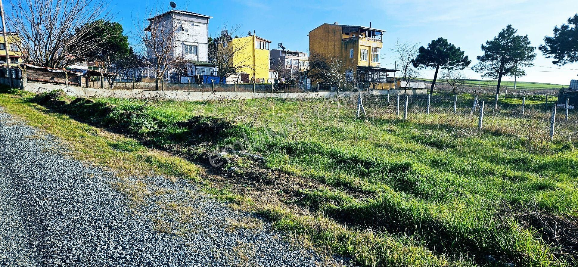 Süleymanpaşa Karaevli Satılık Konut İmarlı Acıl Satılık Her Bütceye Uygun Tekirdağ Karaevli Mahallesınde Trıblexs Arsası