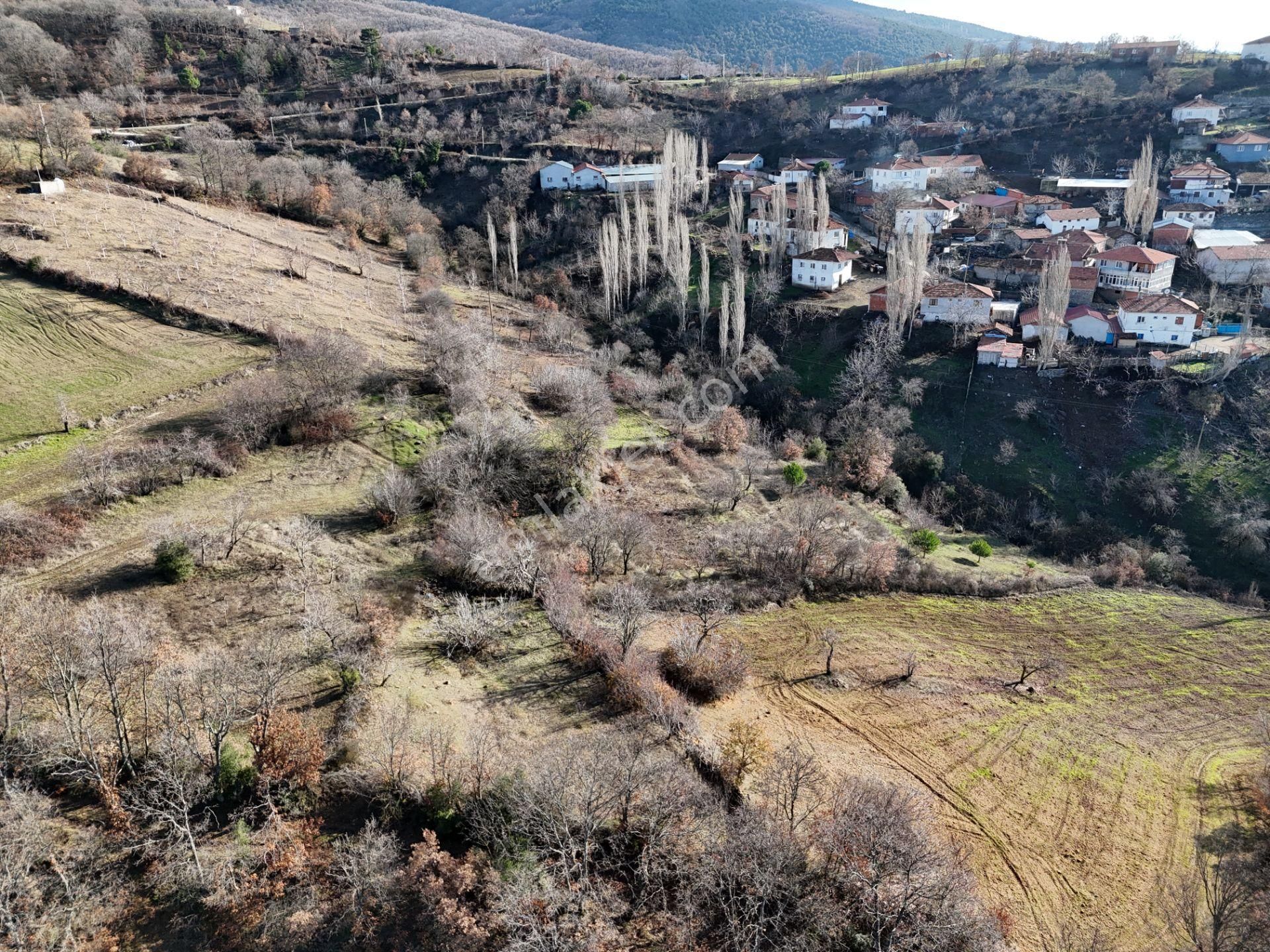 Kepsut Sayacık Satılık Konut İmarlı Balıkesir Kepsut Sayacık İmarlı Arsa