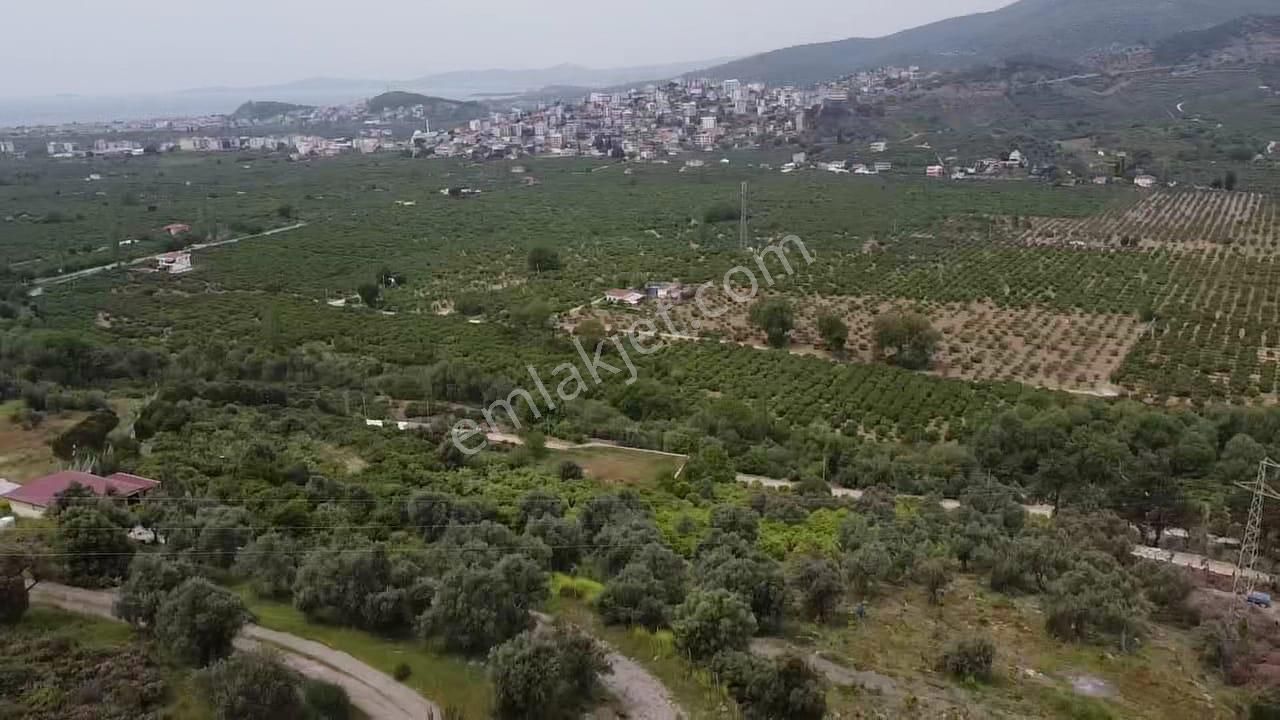 İzmir Gümüldür’de 998m2 Müstakil Tapulu Tarla - Görsel 3