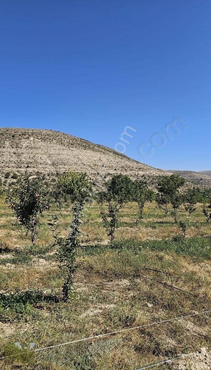 Kaçmaz Fırsat Elma Ceviz Ve Karışık Meyve Bahçesi Suyu Yolu Olan - Görsel 10