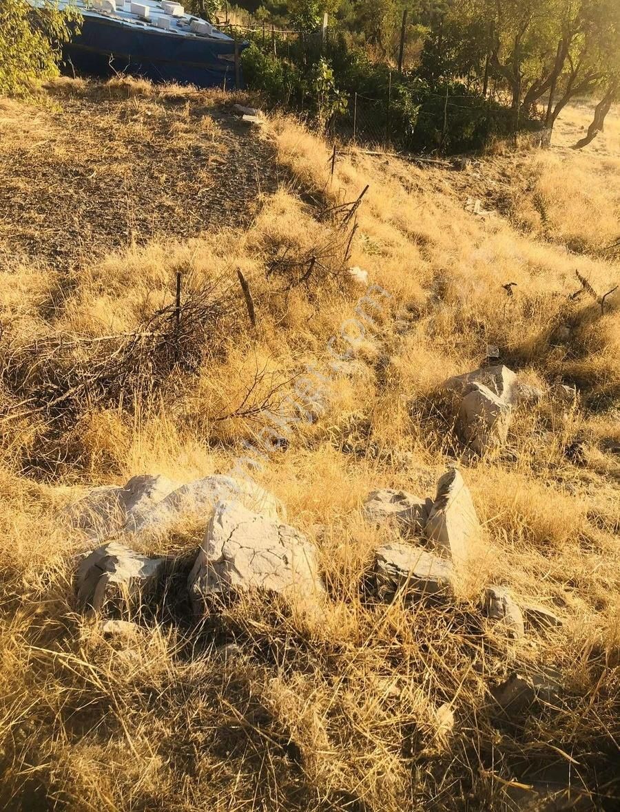 Gömeç Kumgedik Satılık Konut İmarlı Gömeç Neşe Emlak Tan Kumgedik Mahallesin De Satılık Arsa