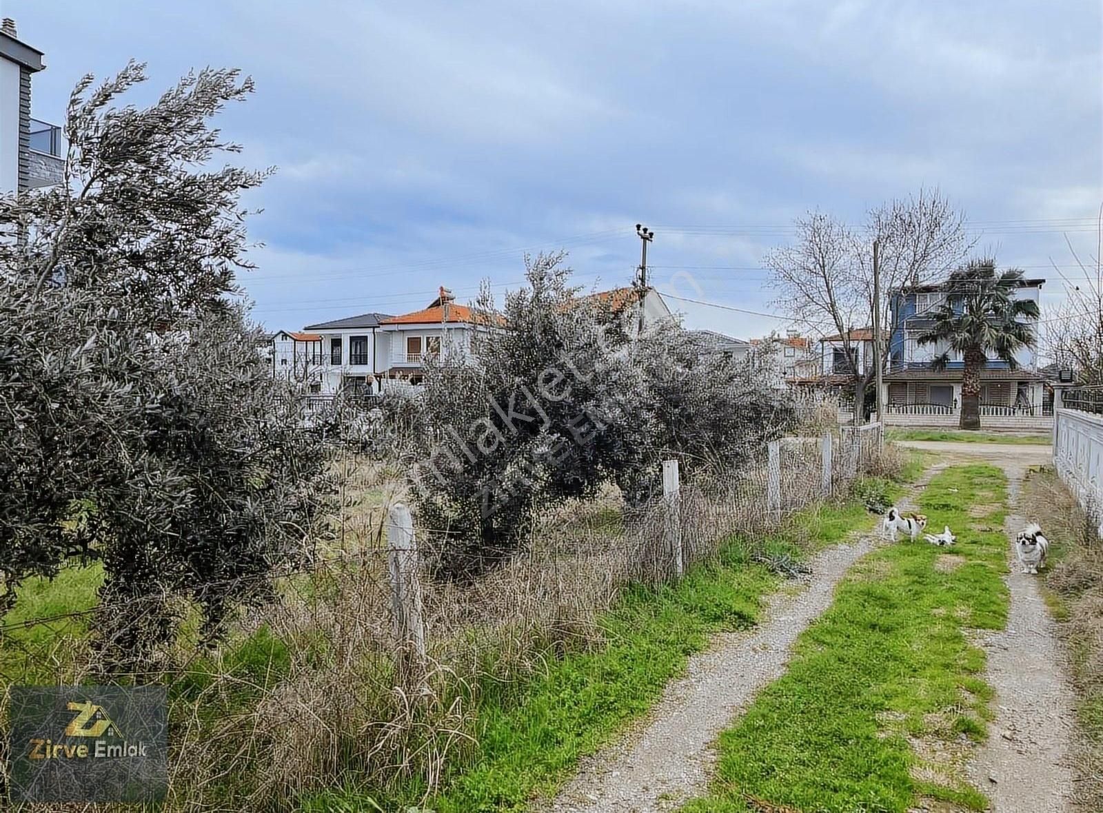 Ayvalık Altınova Satılık Villa İmarlı Ayvalık Altınova Polislerde Köşe Başı Müstakil Villa Arsası