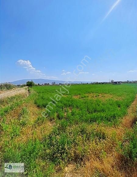 Sultanhisar Atça Satılık Tarla En Emlak'tan Atça'da Satılık Arsa!!!