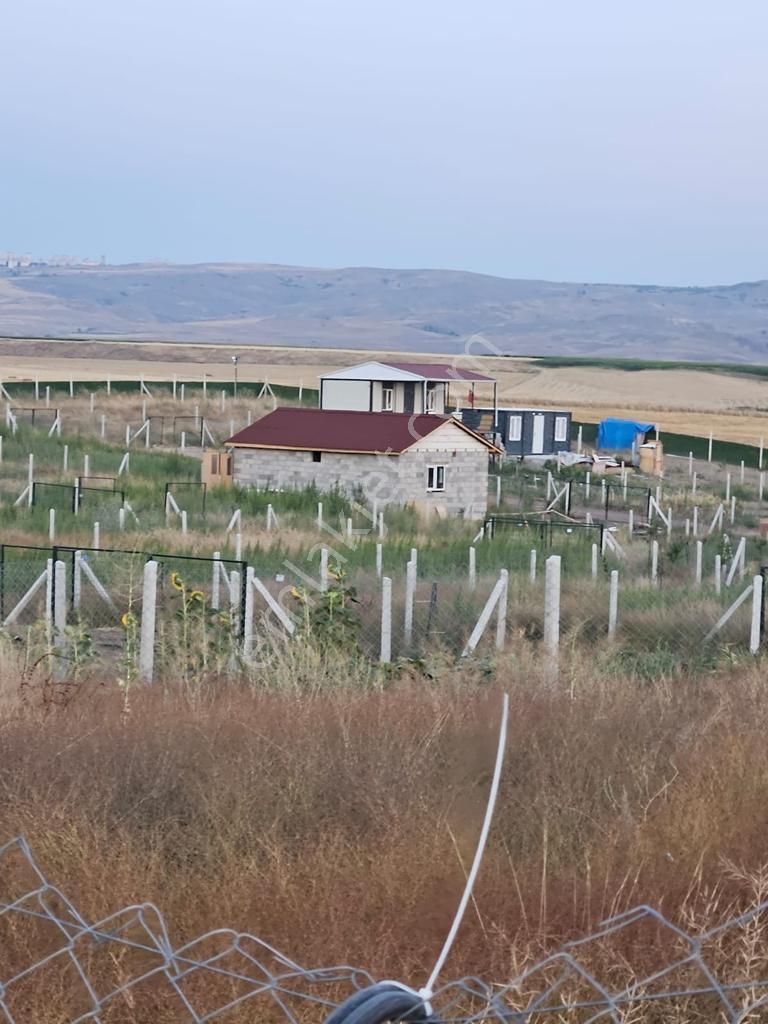 Ayaş Gökler Satılık Bağ & Bahçe Ayaş Göklerde 300m2 Elektrik Su Hali Hazır Bahçe