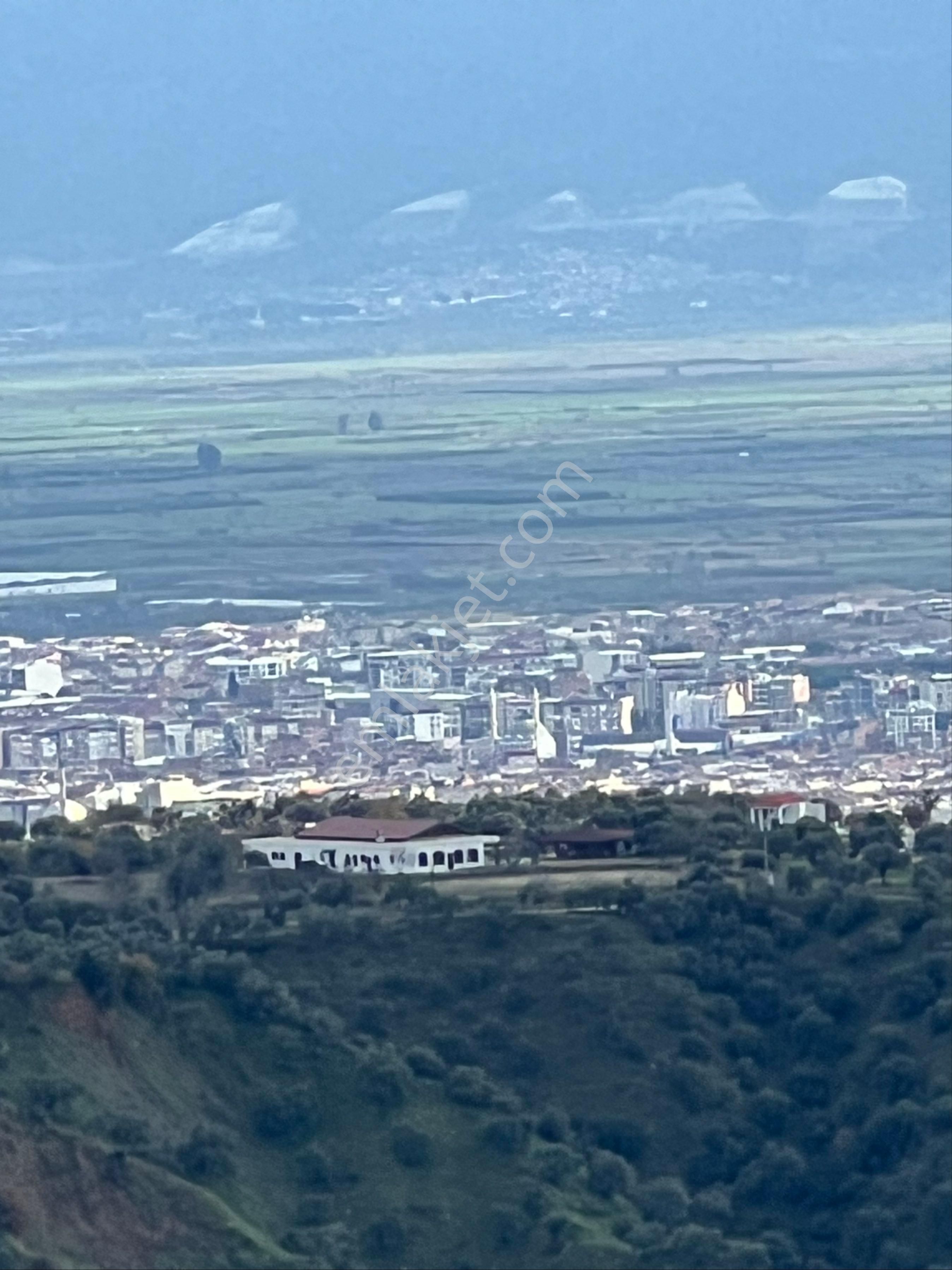 Yaylapınar Da Satılık Zeytinlik - Görsel 34