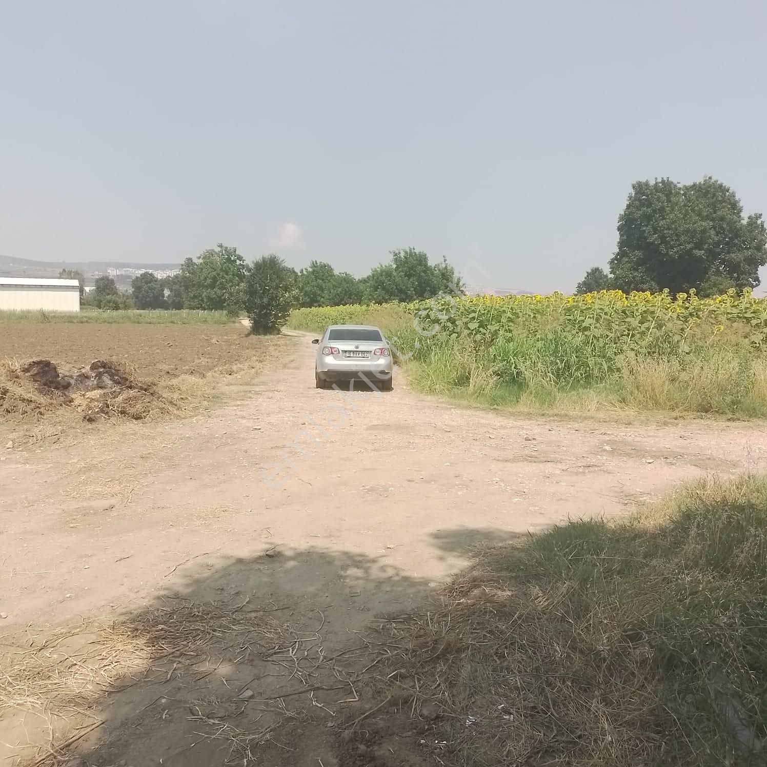 Bursa İnegöl Yeniceköy 'de Satılık Tarla - Görsel 2