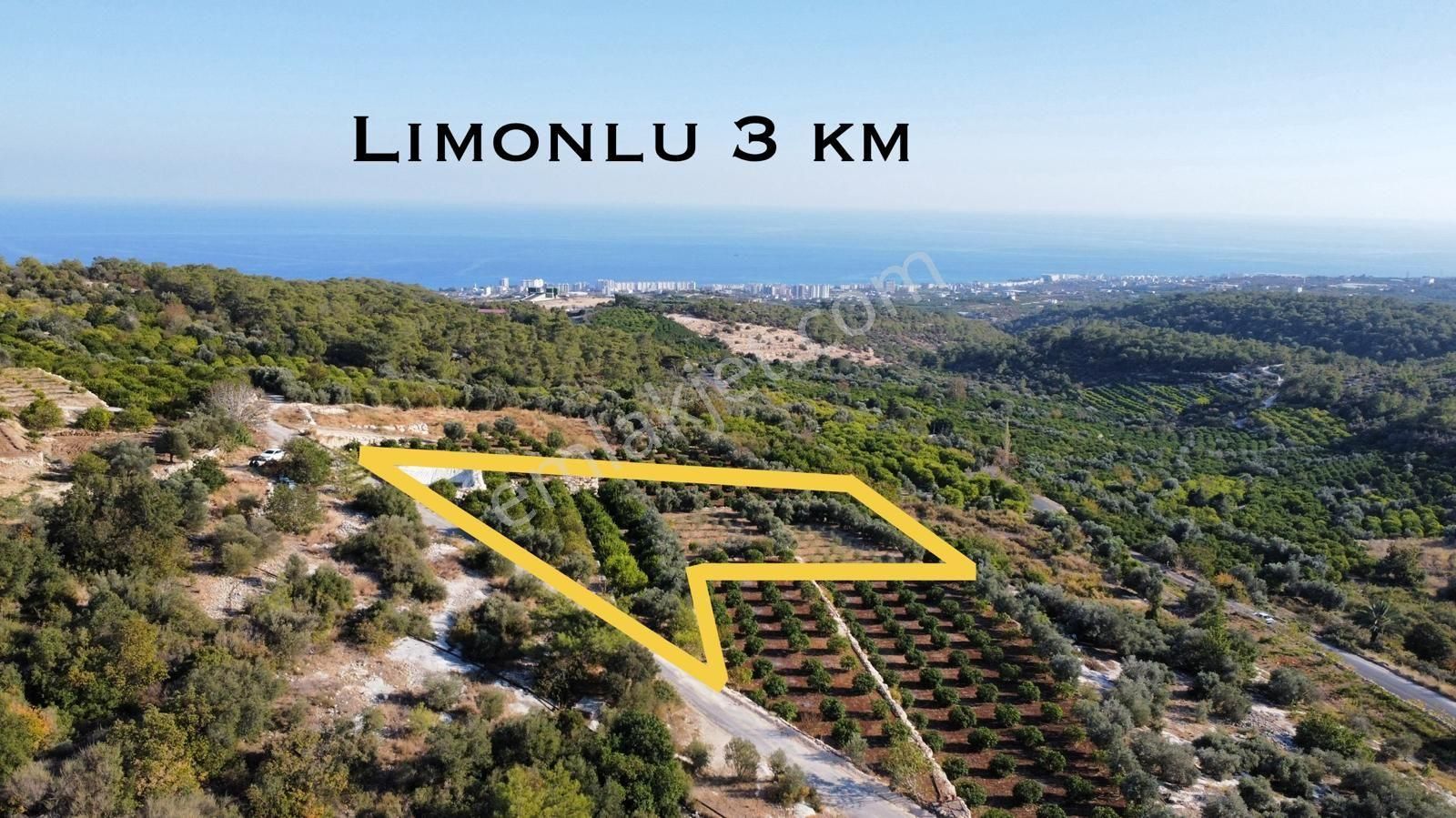 Erdemli Limonlu Satılık Tarla Erdemli Limonlu Mahallesinde 2526 M2 Satılık Tarla