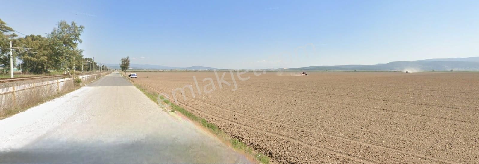 Torbalı Pancar Satılık Tarla İzmir Torbalı Pancar Mahallesinde Satılık Yatırımlık Tarla