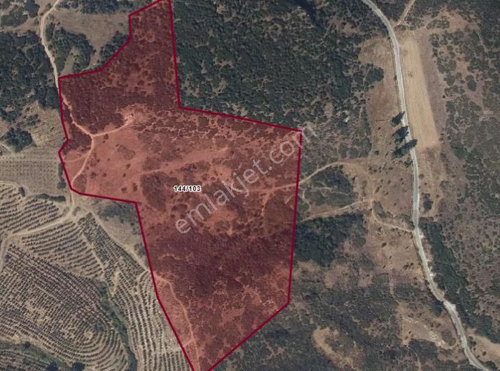 "yatırımlık Tarla! Mücavir Alanda, Organizeye Sadece 1 Km!" - Görsel 5