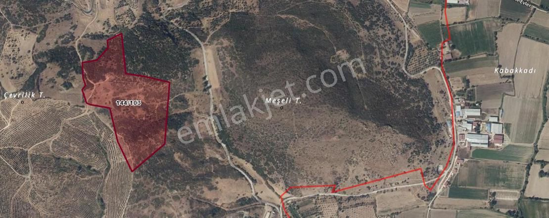 "yatırımlık Tarla! Mücavir Alanda, Organizeye Sadece 1 Km!" - Görsel 3