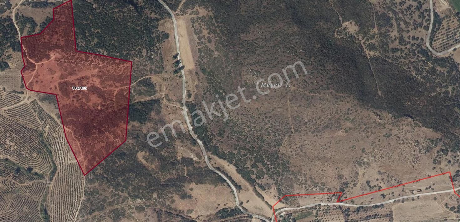 "yatırımlık Tarla! Mücavir Alanda, Organizeye Sadece 1 Km!" - Görsel 2