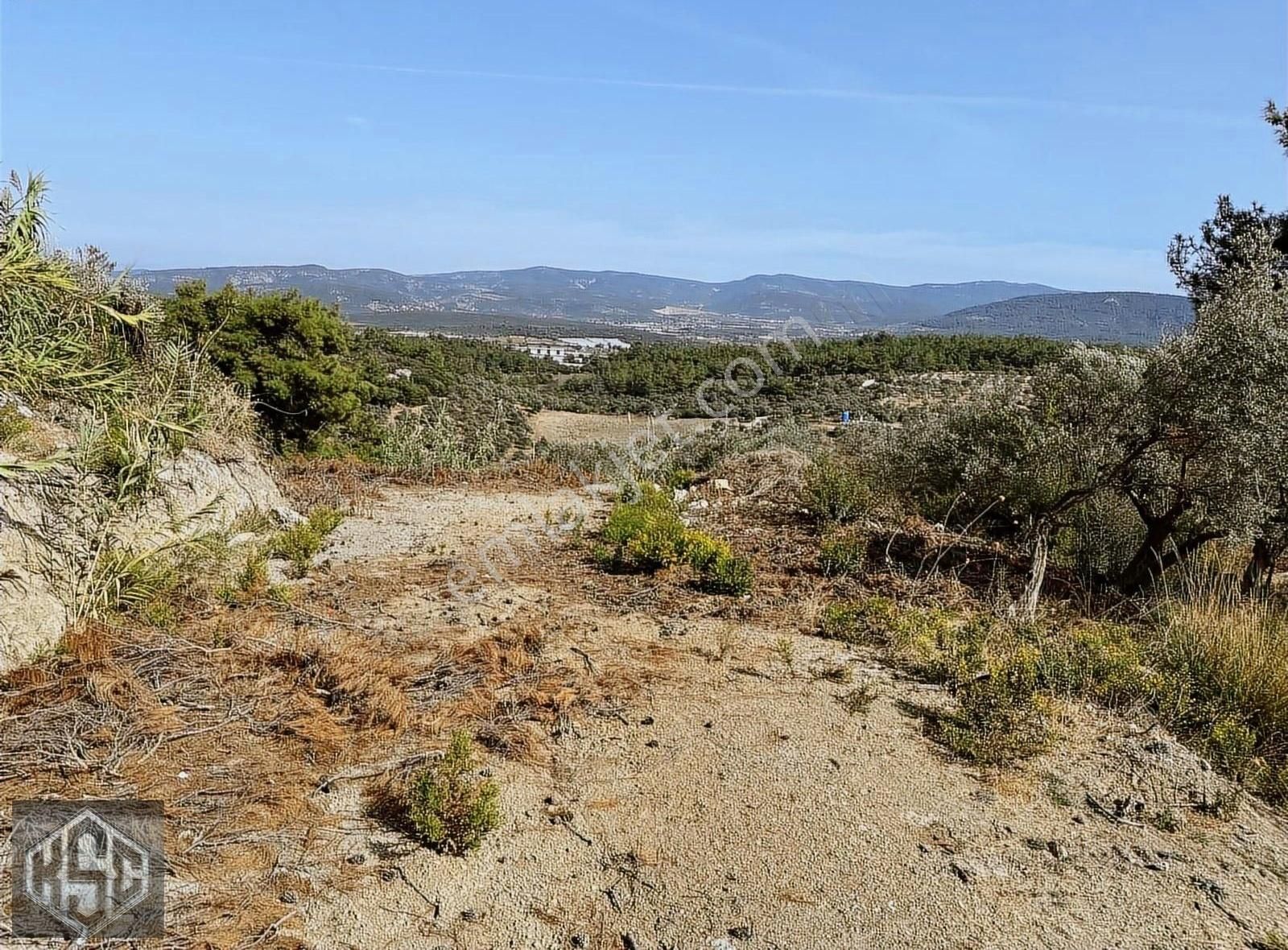 Menderes Ataköy Satılık Tarla Karadeniz Emlaktan Ataköyde 681m2 Tek Tapu Müstakil Tarla