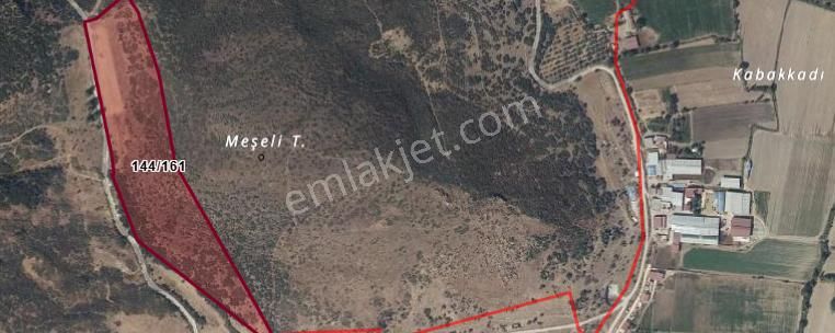 "kaçırılmayacak Fırsat! Yatırımlık Tarla, Mücavir Alanda Ve Organizeye Çok Yakın!" - Görsel 2