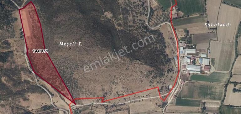 "kaçırılmayacak Fırsat! Yatırımlık Tarla, Mücavir Alanda Ve Organizeye Çok Yakın!" - Görsel 3