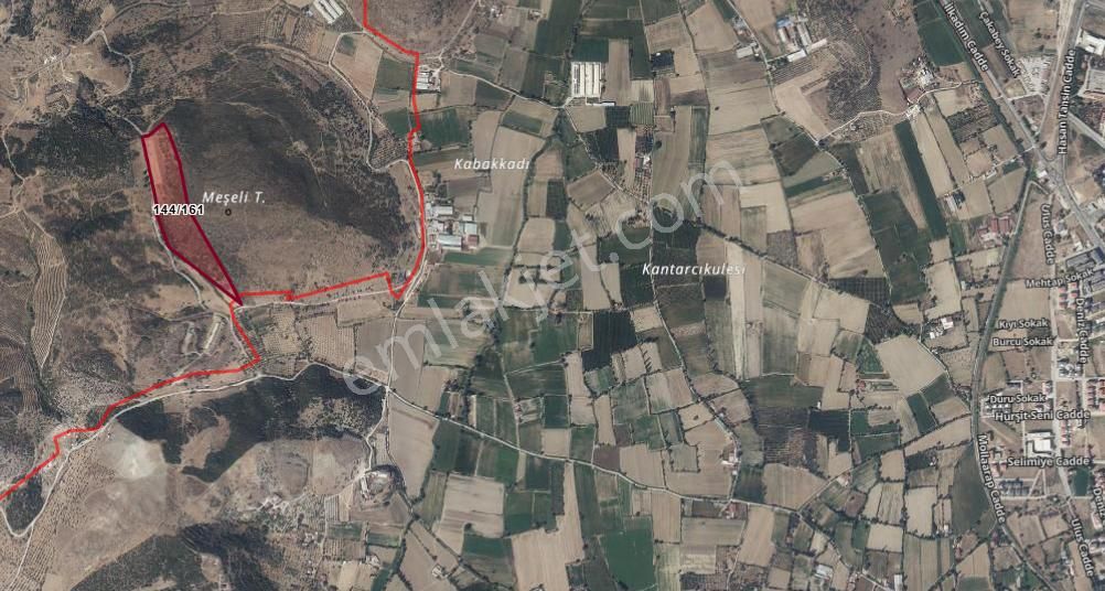 "kaçırılmayacak Fırsat! Yatırımlık Tarla, Mücavir Alanda Ve Organizeye Çok Yakın!" - Görsel 4