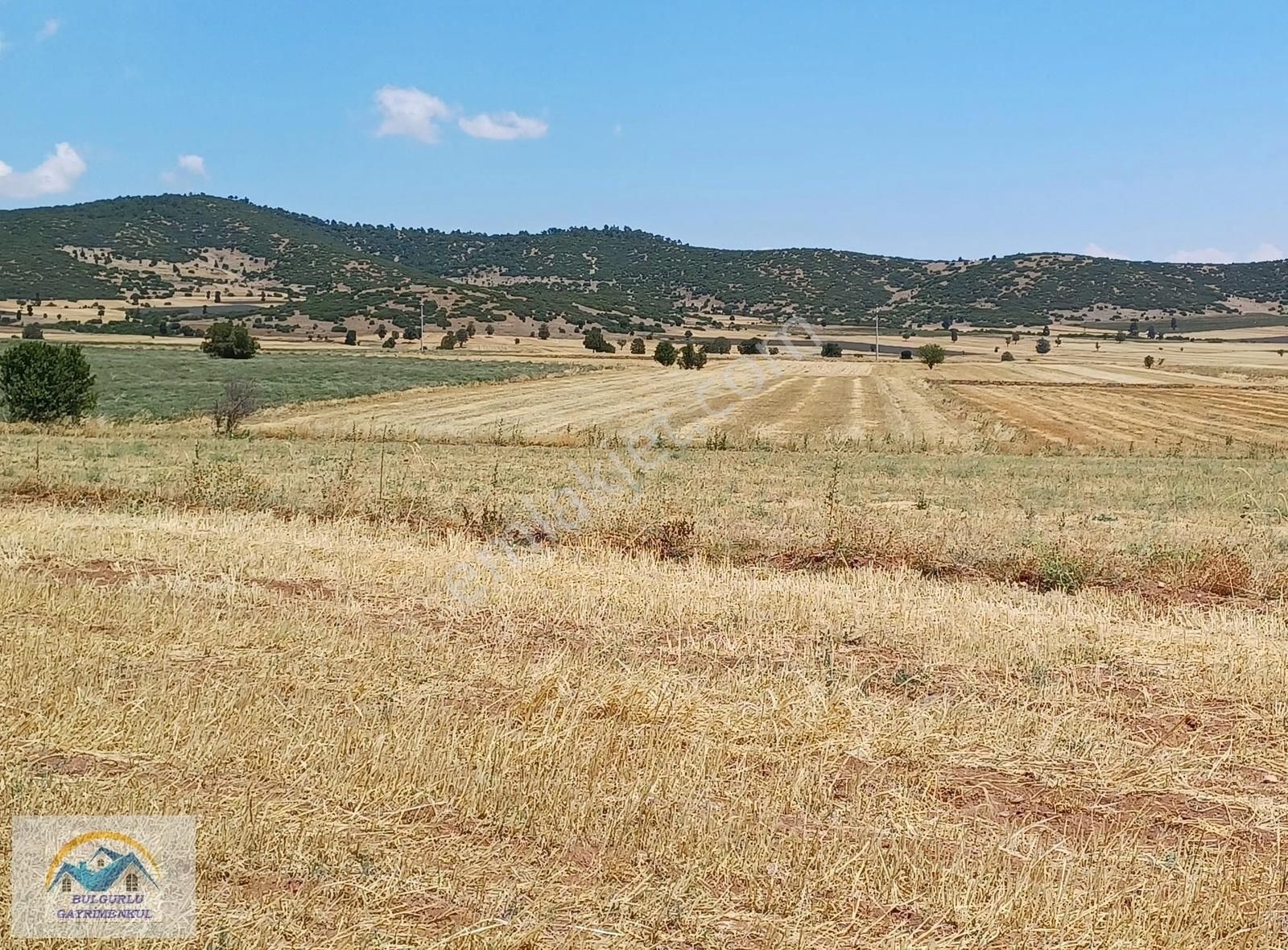 Burdur Yeşilova Akçaköyde Çift Yollu Uygun Arazi... - Görsel 8