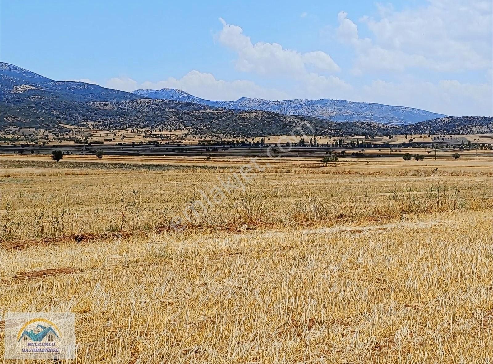 Burdur Yeşilova Akçaköyde Çift Yollu Uygun Arazi... - Görsel 5