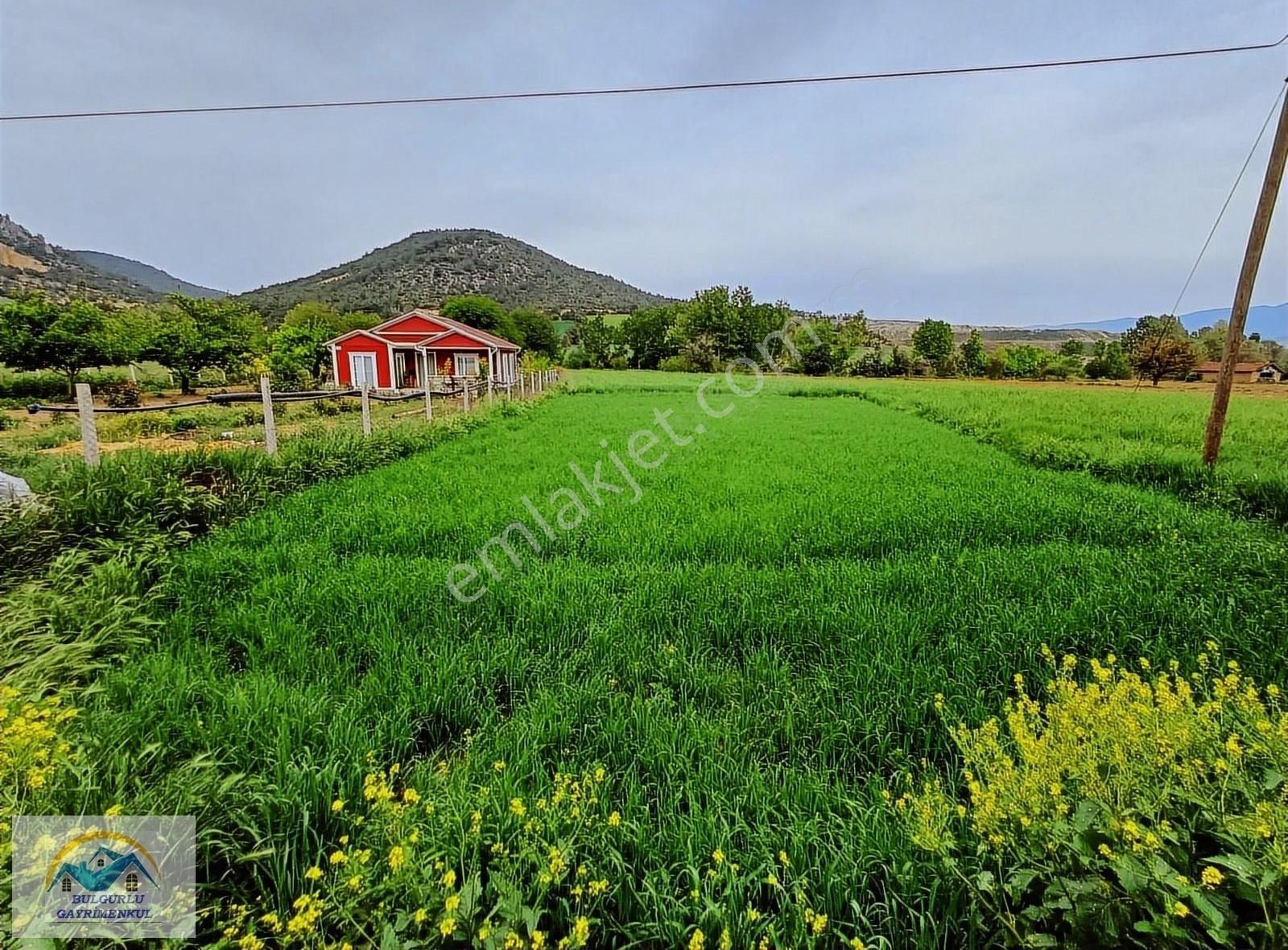 Göynük Çayköy Köyü Satılık Tarla Köy İçi Asfalt Cephe Uygun Arazi.