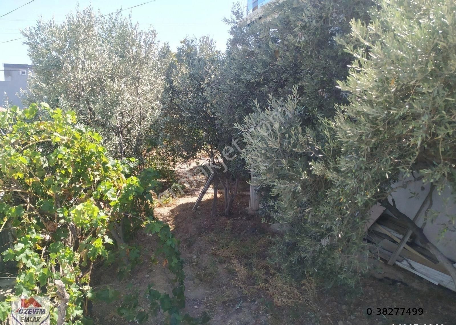 Sevgi Mahallesi 310 M2 Arsa İçinde Satılık Müstakil Ev - Görsel 7