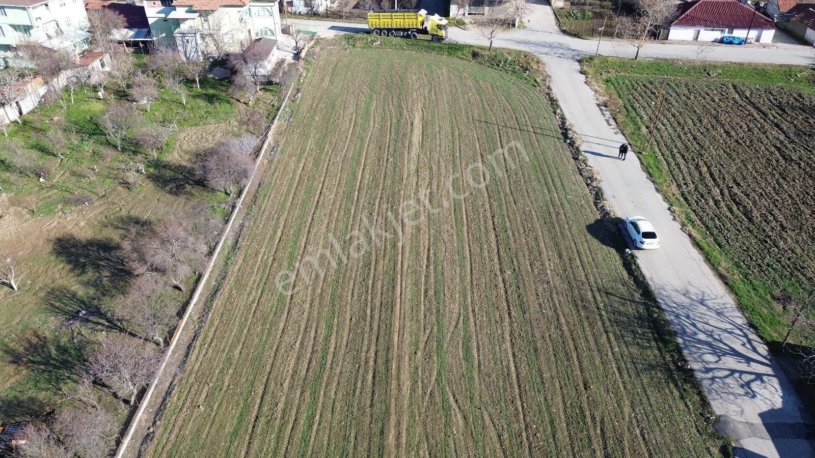 Suluova Cevizdibi Satılık Konut İmarlı Erkan Anbar Dan Satılık İmarlı Arsalar Suluova Cevizdibi Mahallesi