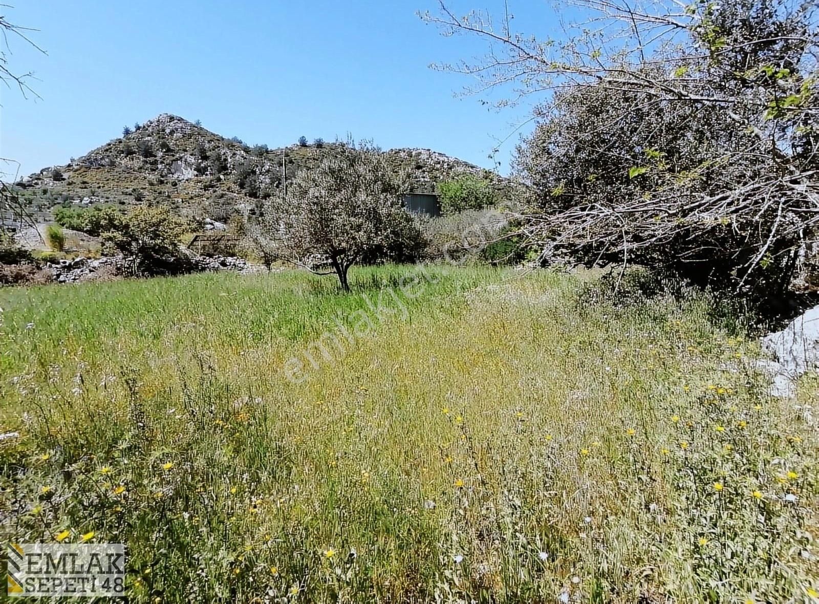 Marmaris Söğüt Köyünde Deniz Manzaral 1.476 M2arsa 12.000.000tl - Görsel 3