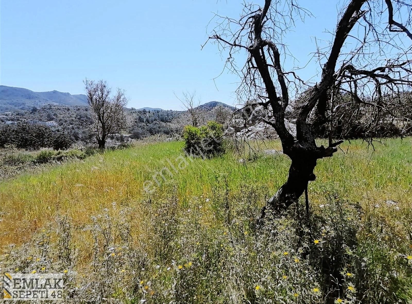 Marmaris Söğüt Köyünde Deniz Manzaral 1.476 M2arsa 12.000.000tl - Görsel 2