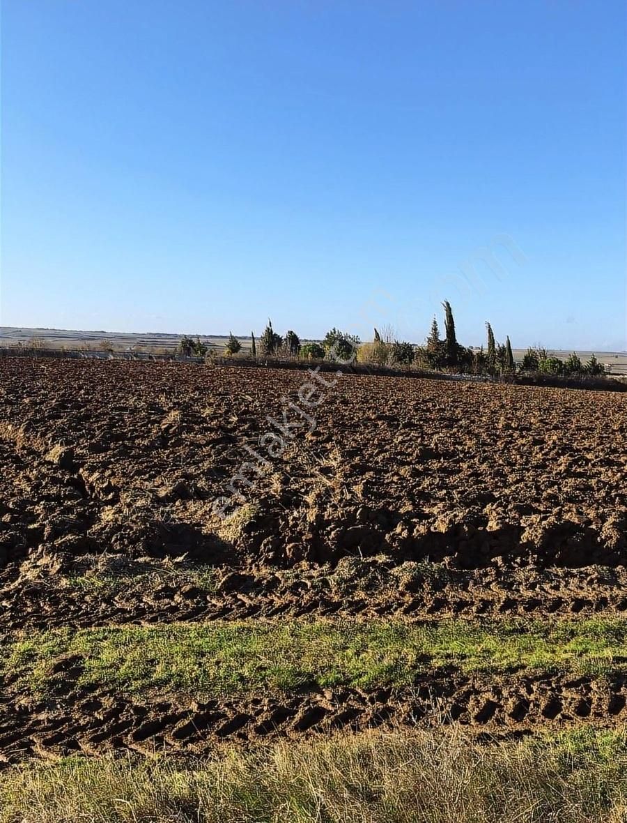 Saray Yuvalı Satılık Tarla Saray Yuvalı Mah.köyün Bitişiği Tek Tapu Satılık Tarla