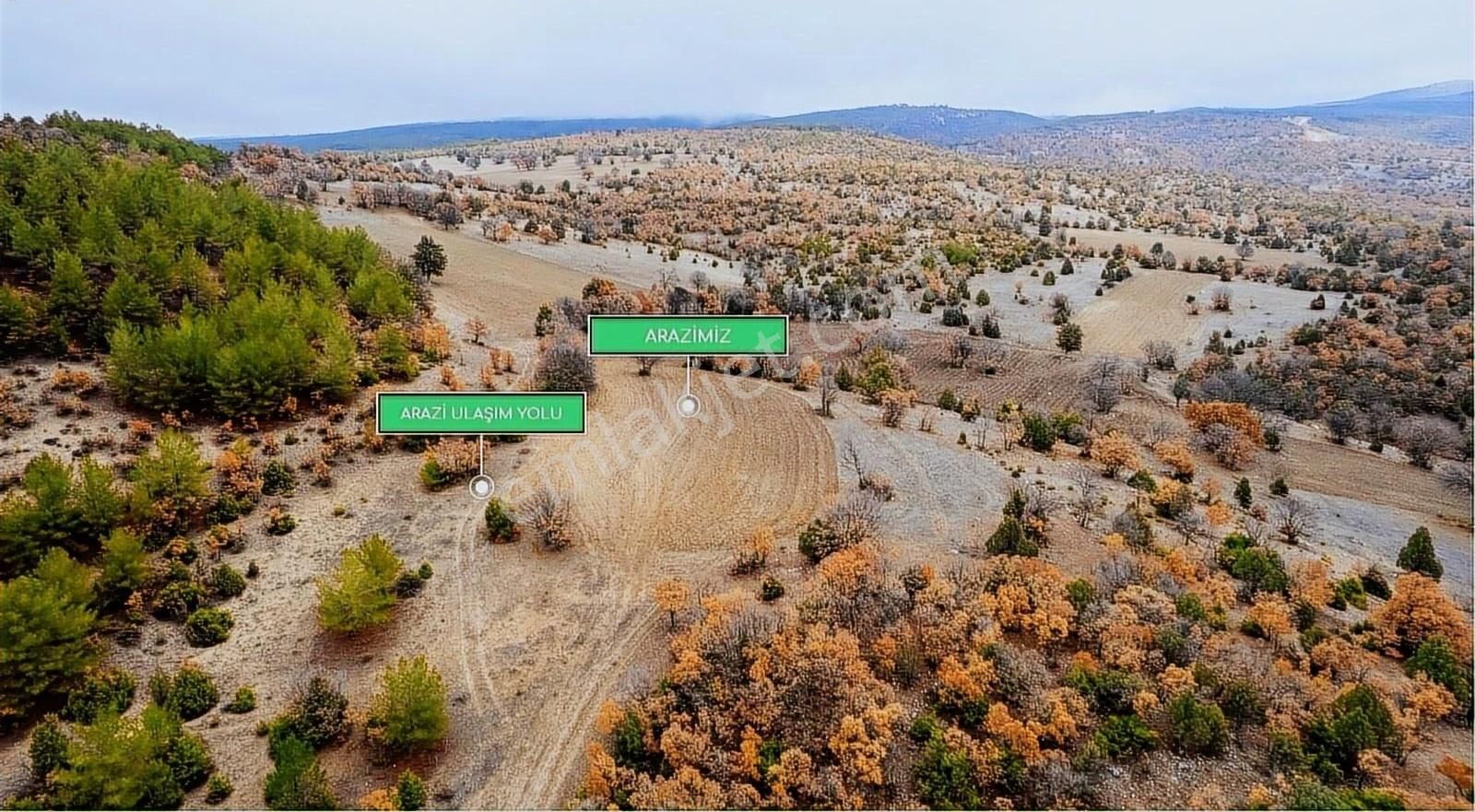 Emet Kırgıl Köyü Satılık Tarla Kütahya Emet'de Fırsat Arazi-kredi Kartına Vade Farksız 9 Taksit