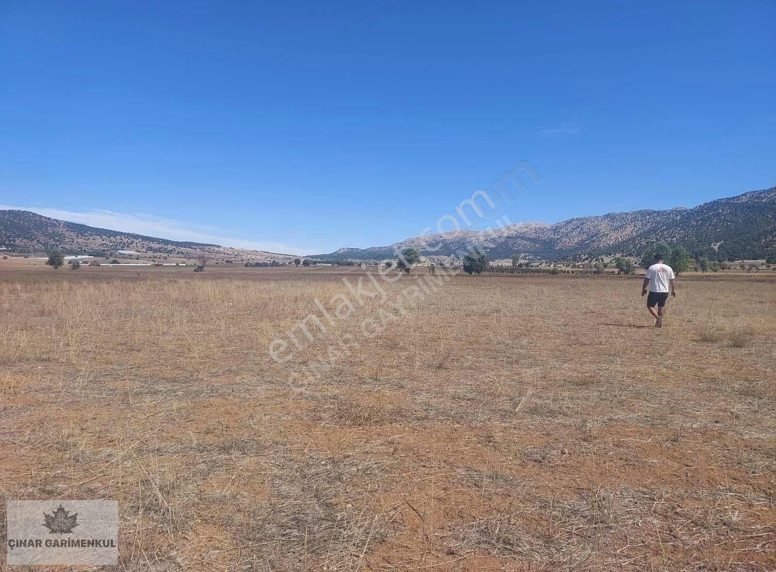 Seydikemer Zorlar Satılık Tarla Muğla Seydikemer Yayla Zorlar Mahallesinde Satılık Tarla