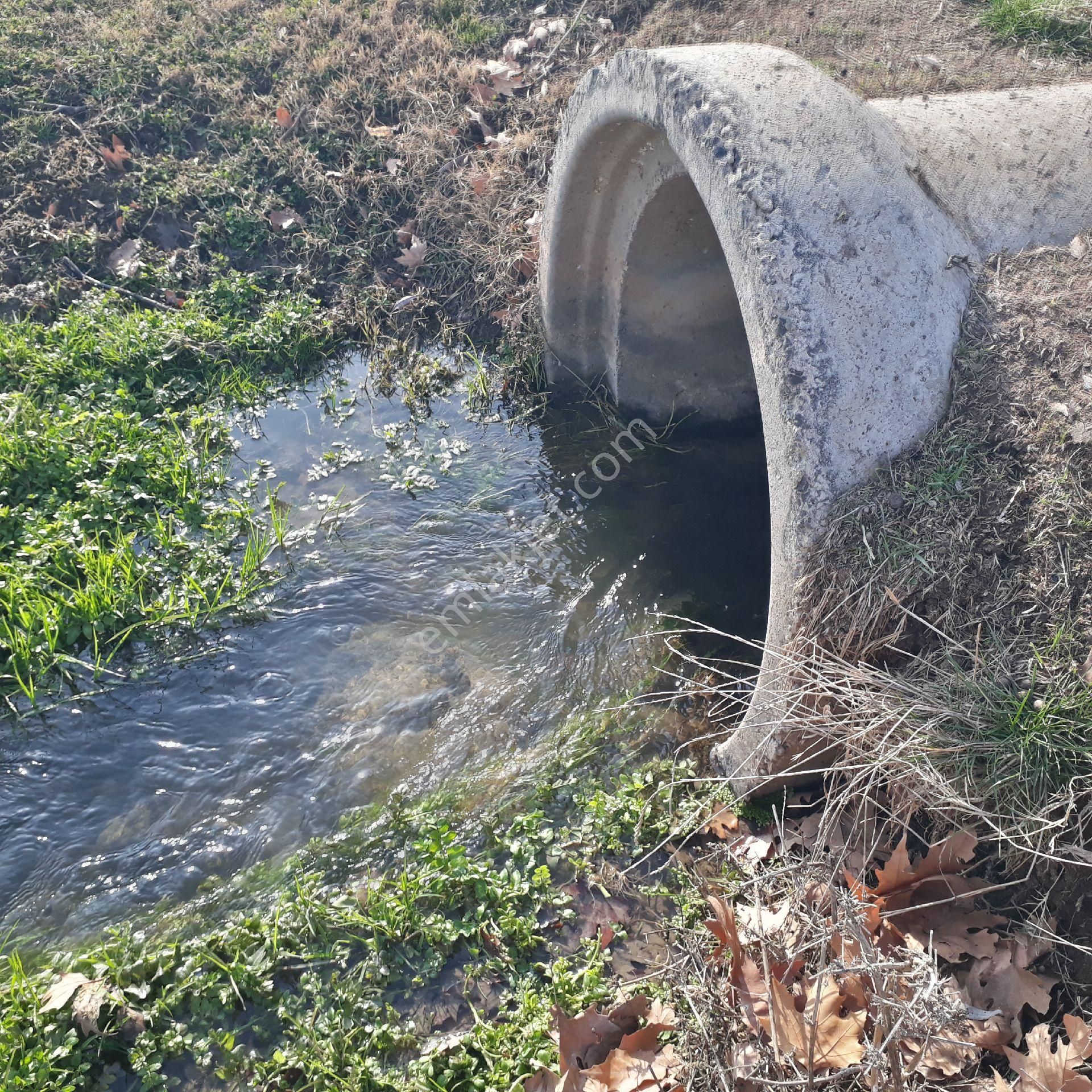 Karaköprü Büyük Akziyaret Satılık Bağ & Bahçe 2500 Metre Tek Tapu