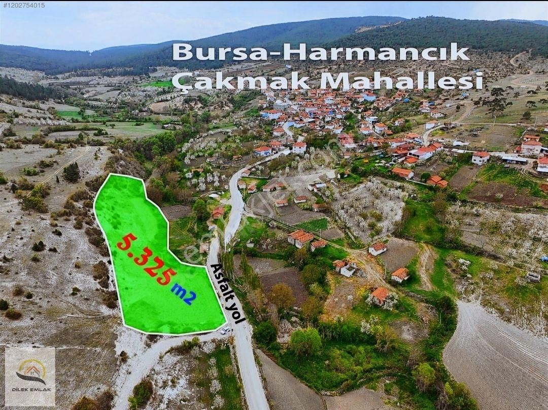 Bursa Harmancık Çakmak Mahallesi'nde Köyün Dibinde Tek Tapu Asfaltı Cephe 5250m² Tarla - Görsel 10