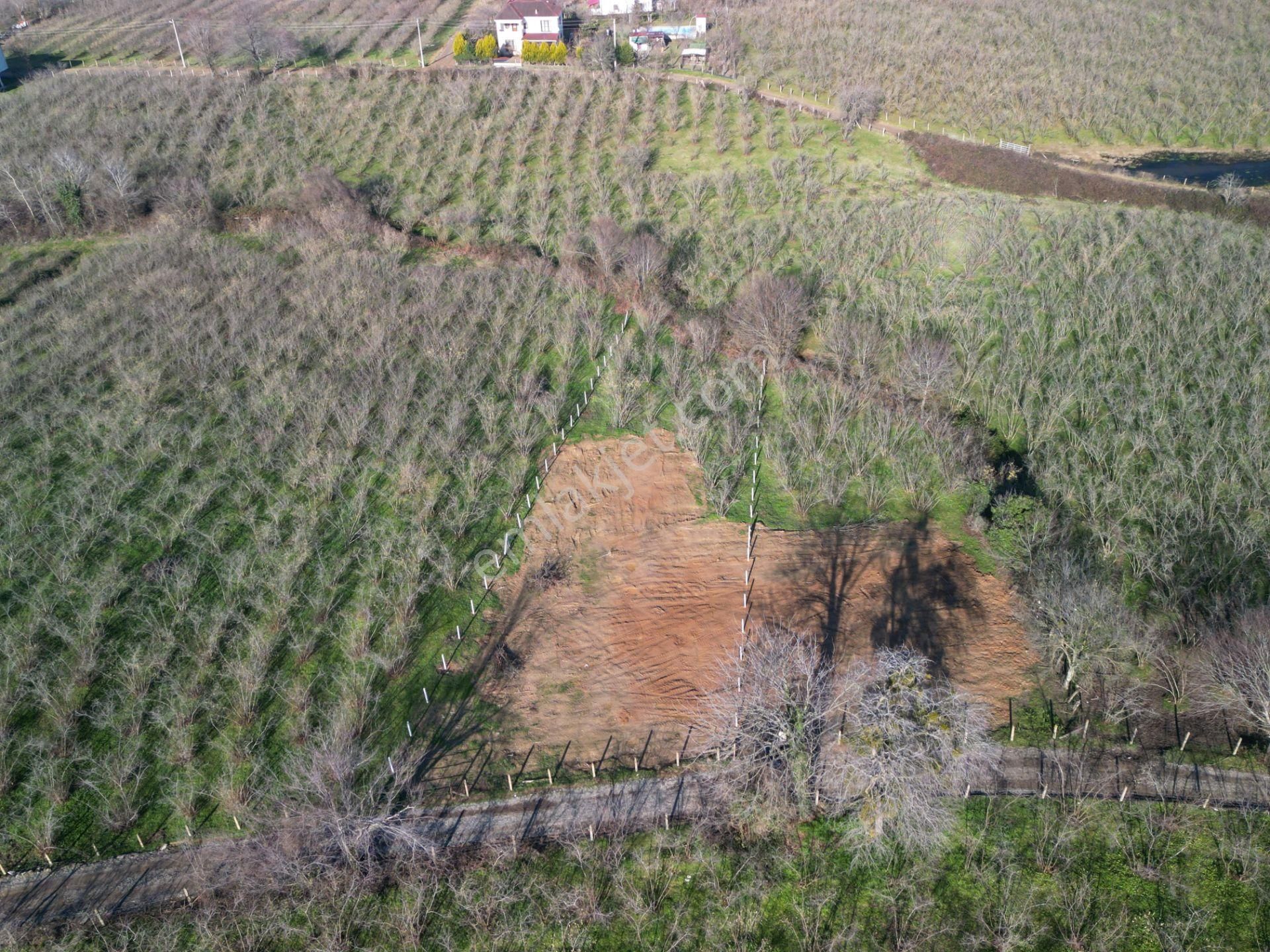 Karasu Karasu Satılık Konut İmarlı Deniz Manzaralı Konut İmarlı Müstakil Arsa