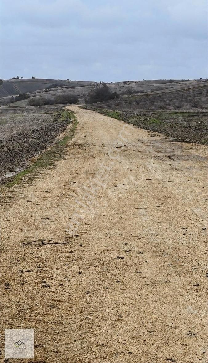 Babaeski Mutlu Köyü Satılık Tarla Babaeski Kofalçada 672 M2 Müstakil Tapu Fırsat Tarla