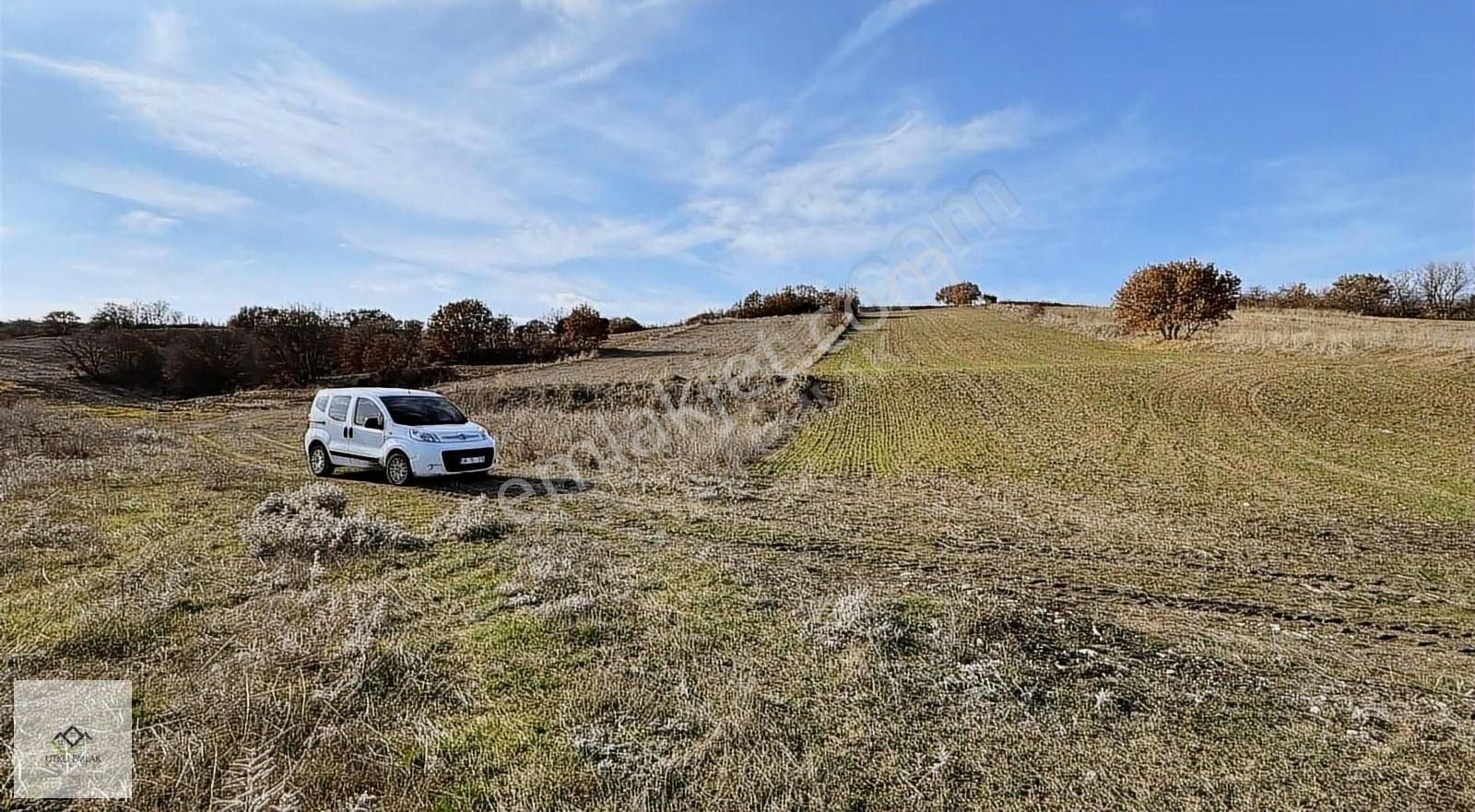 Babaeski Çavuşköy Köyü Satılık Tarla Babaeski Çavuşköyde 3653 M2 Köye Yakın Satılık Tarla