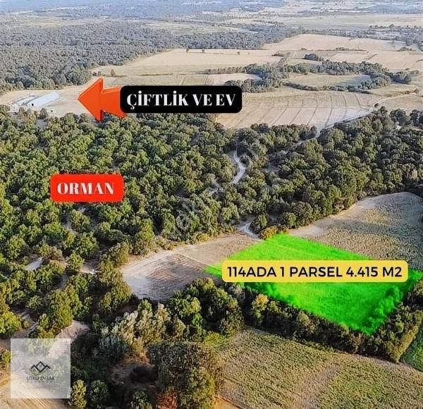 Babaeski Çavuşköy Köyü Satılık Tarla Kırklareli Babaeski Çavuşköyde 4.415 M2 Satılık Tarla