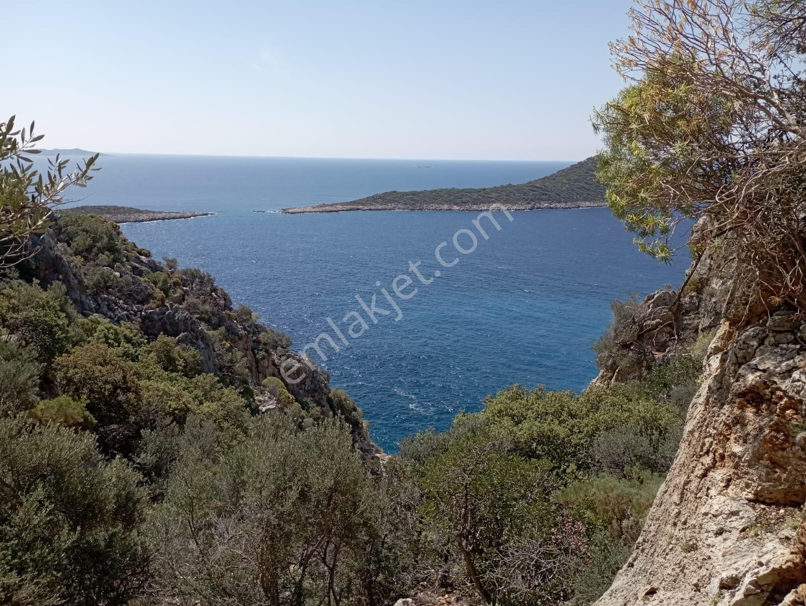 Kaş Sarıbelen Satılık Zeytinlik Satılık Antalya Kaş Turistik Yatırım Amaçlı Zeytinlik 5 Dönüm