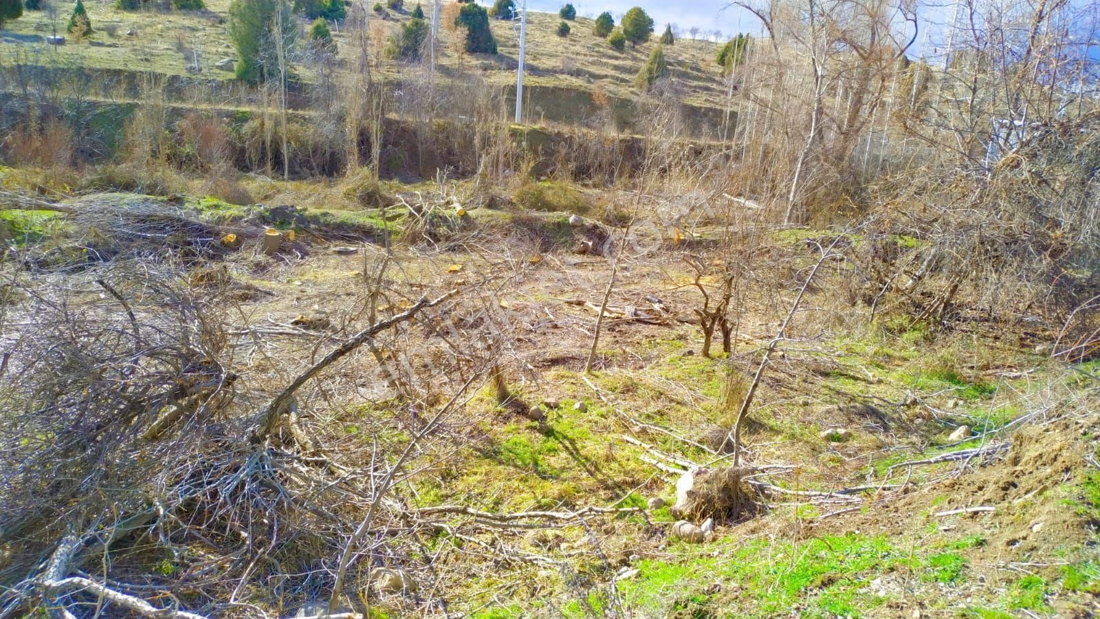 Akören Kayasu Satılık Bağ & Bahçe Konya İli Akören İlcesi Kayasu Mahallesi'nde