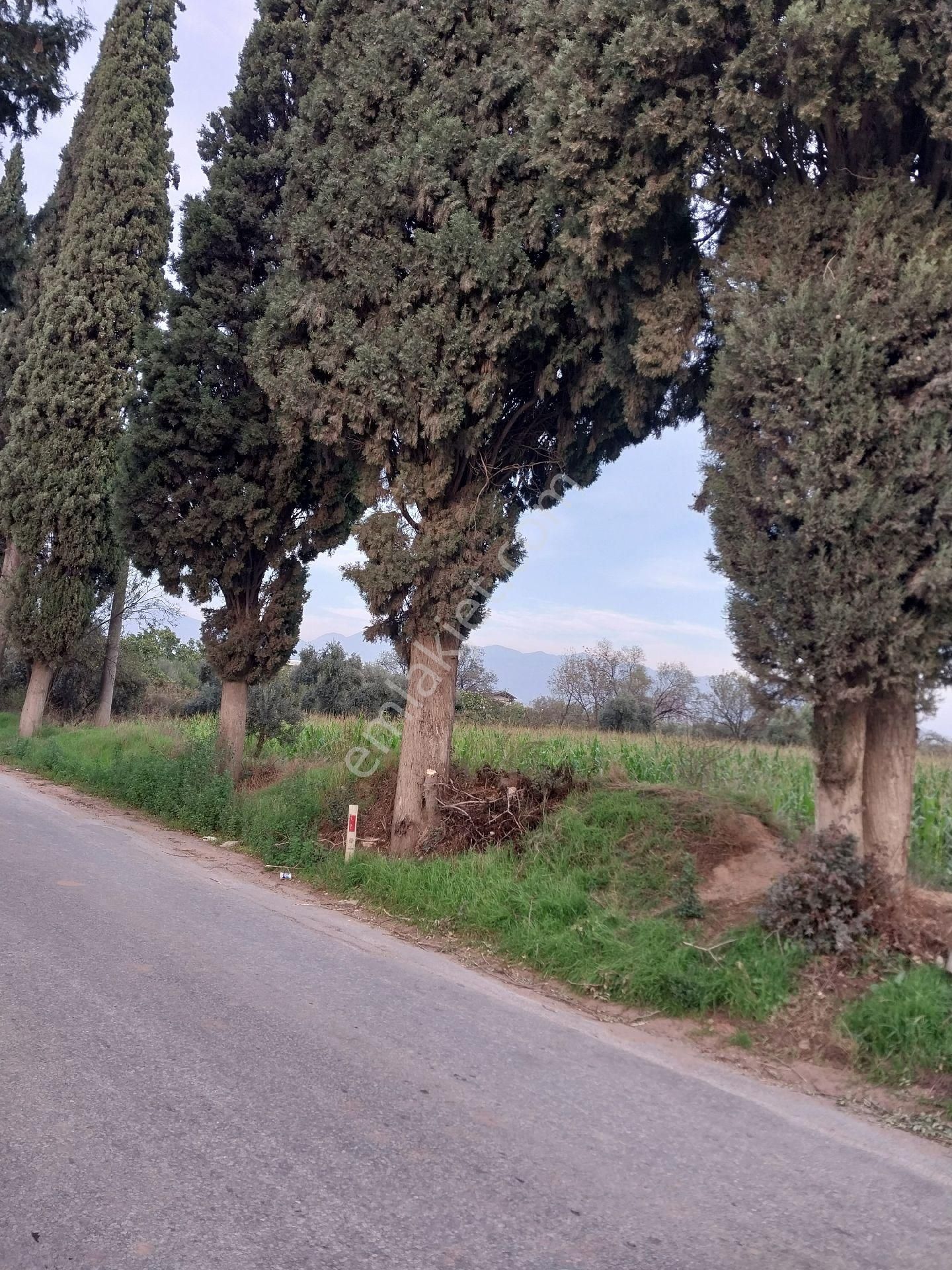 Aydın Efeler De Kuyuluda Kat Karşılığı Arsa - Görsel 3