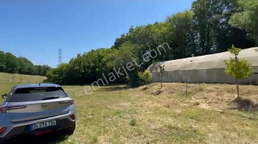 Saray Pazarcık'ta 1300 Metre Arazi İçerisinde Hazır Kurulu Çiftlik Ve Orman Evi - Görsel 6