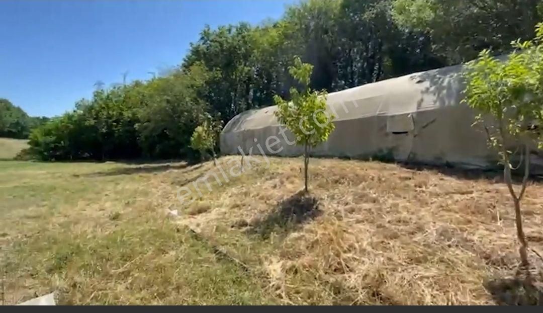 Saray Pazarcık'ta 1300 Metre Arazi İçerisinde Hazır Kurulu Çiftlik Ve Orman Evi - Görsel 9