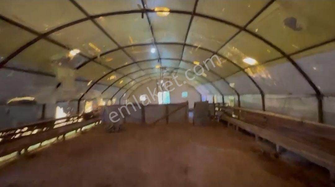 Saray Pazarcık'ta 1300 Metre Arazi İçerisinde Hazır Kurulu Çiftlik Ve Orman Evi - Görsel 13