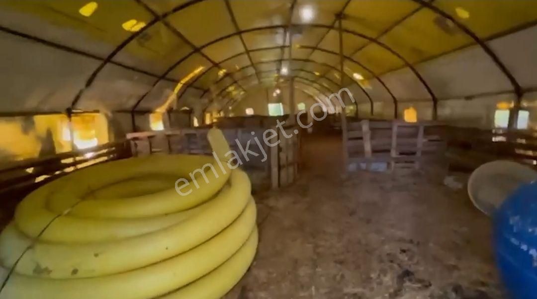 Saray Pazarcık'ta 1300 Metre Arazi İçerisinde Hazır Kurulu Çiftlik Ve Orman Evi - Görsel 11