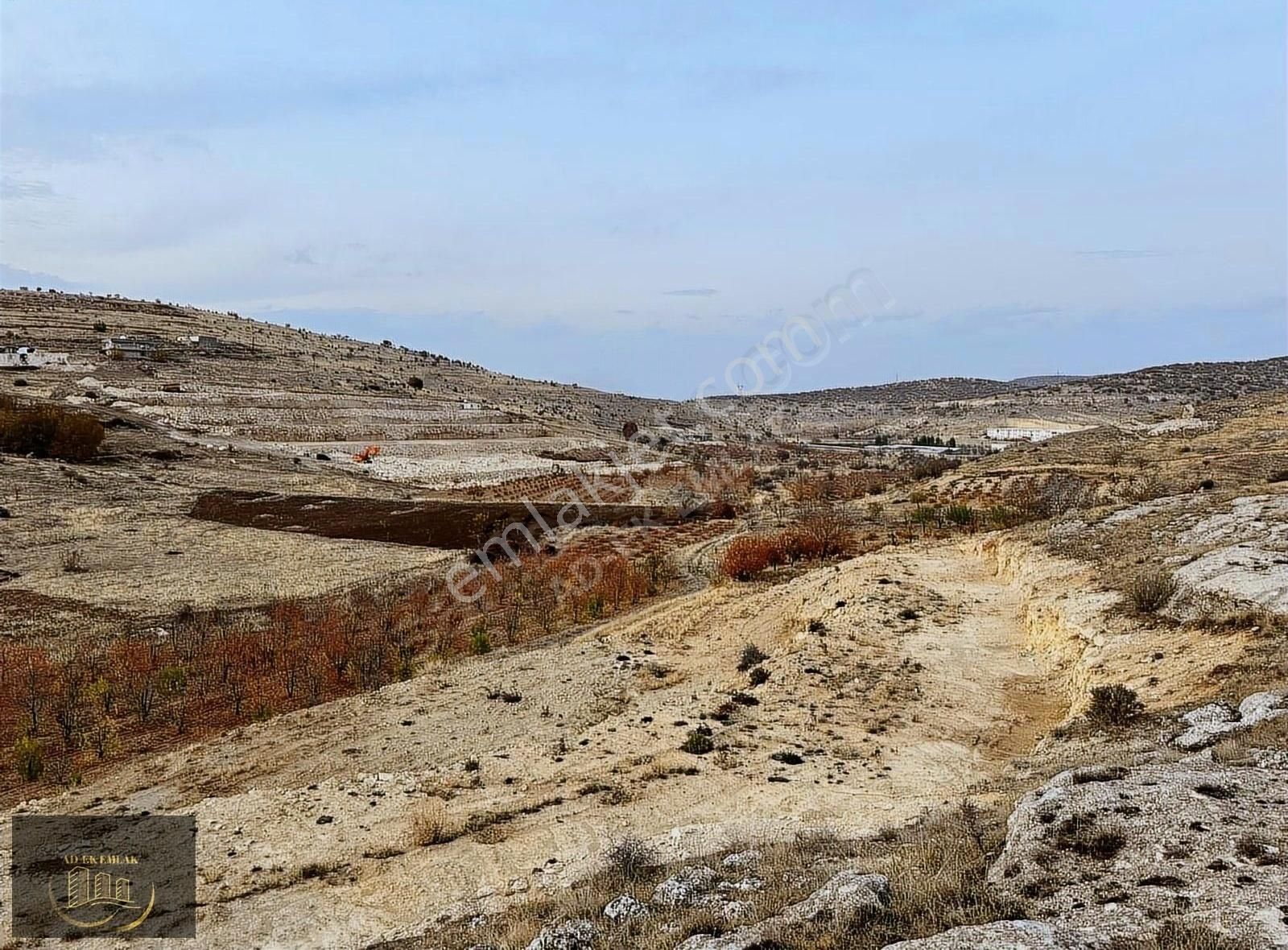 Artuklu Yayla Satılık Tarla Diyarbakır Yolunda Yatırımlık Kupon Tarla&arsa Ad-ek Emlaktan