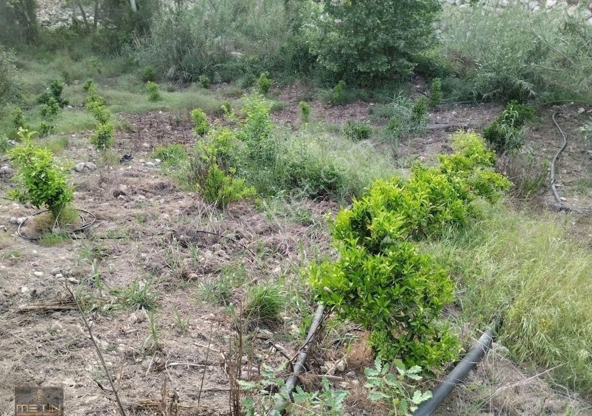 Yenişehir Karahacılı Satılık Bağ & Bahçe Metin Gayrimenkul’den Yenişehir Karahacılı Da Satılık Naraciye Bahçesi