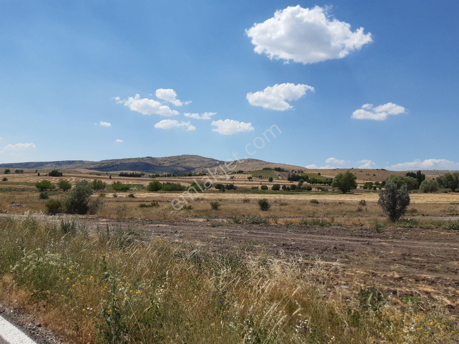 Ayaş Çanıllı Uluyol Satılık Tarla Kelepir Kelepir Kelepir Ayaş Çanıllı Uluyol Un En Uygun Tarlası