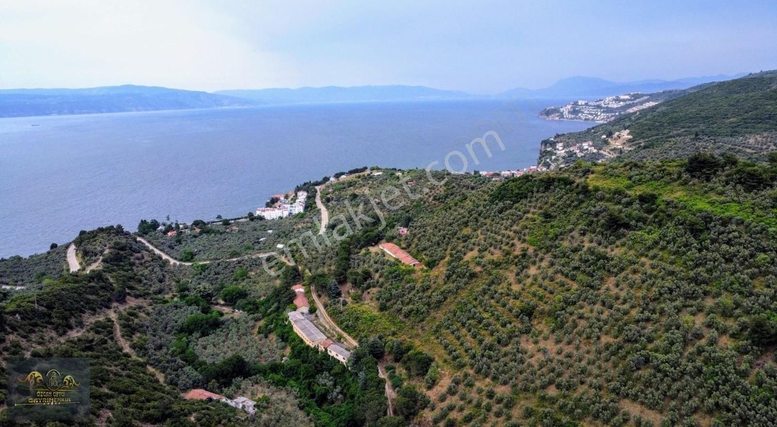 Mudanya Kumyaka Satılık Zeytinlik Fiyat Düştü!deniz Manzaralı Kadastro Yoluna Cephe Zeytinlik